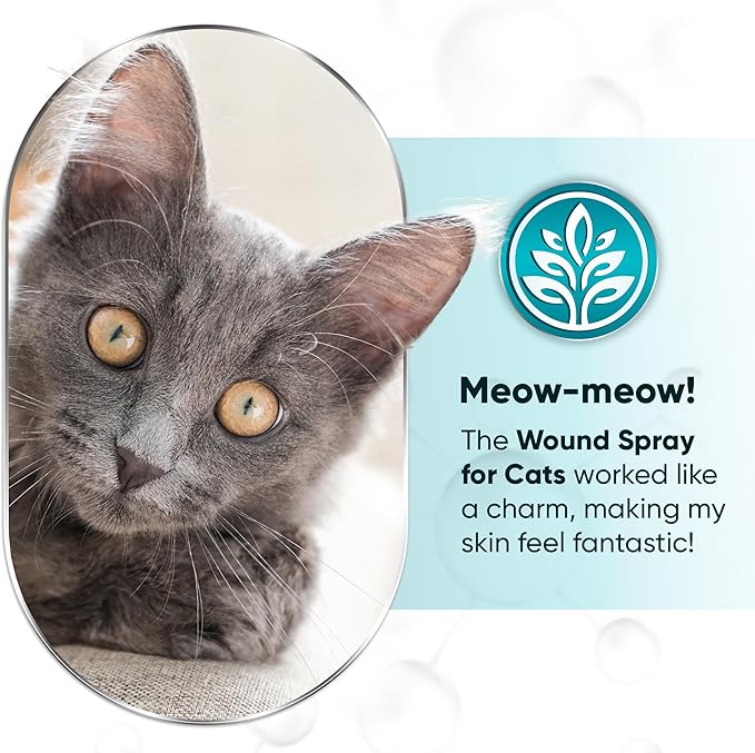 Cat Wound Care Spray is Perfect with Cat Cone | Nano Silver + Chlorhexidine in the Composition | Bites, Scratches, Redness, Irritation, and Sutures After Surgery | 4 Oz