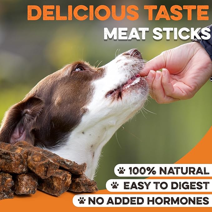 BRUTUS & BARNABY Dehydrated Lung Dog & Cat Treats, 28oz – USA Organ Meat Stick (Beef & Turkey Lung, Liver), High Protein Pet Snack