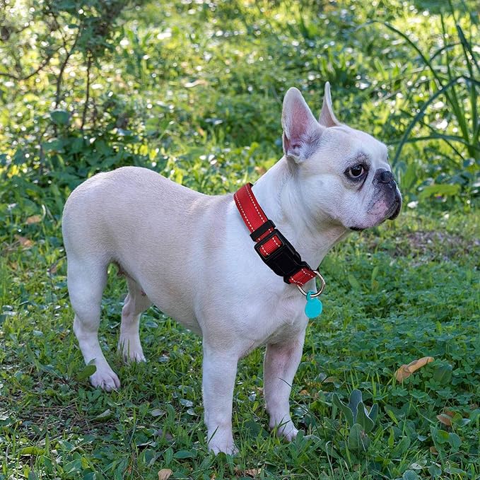 Reflective Dog Collar Padded with Soft Neoprene Breathable Adjustable Nylon Dog Collars for Small Medium Large Dogs (Medium (Pack of 1), Red Collar+Leash)