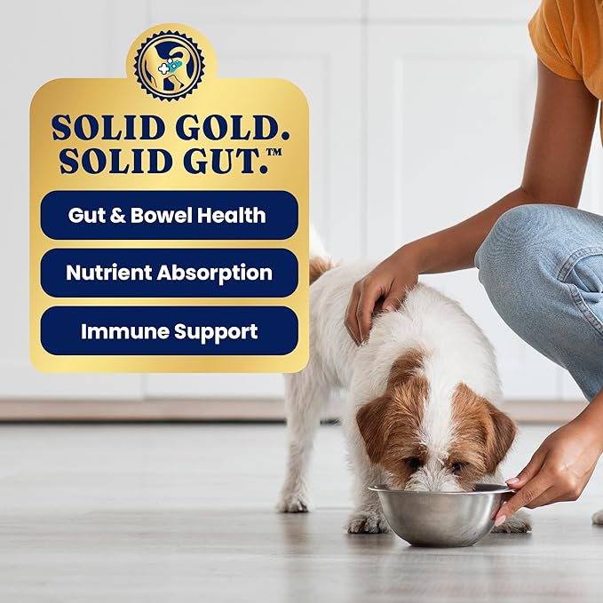 Solid Gold Canned Dog Food for Adult & Senior Dogs - High Protein Wet Dog Food w/Real Lamb, Whole Grains & Probiotics for Gut Health & Immunity - Small, Medium & Large Breed Dogs - 6ct 12.5oz Cans