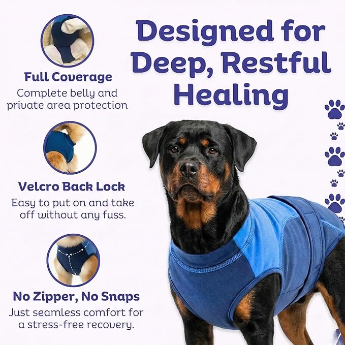 Surgi Snuggly Dog Surgery Recovery Suit - Dog Onesie for Post Surgery Recovery, Female Spay & Male Neuter - Surgical Suit for Dogs, E-Collar Cone Alternative, Double Blue - 2XL Small - 28" - 32" (EC)