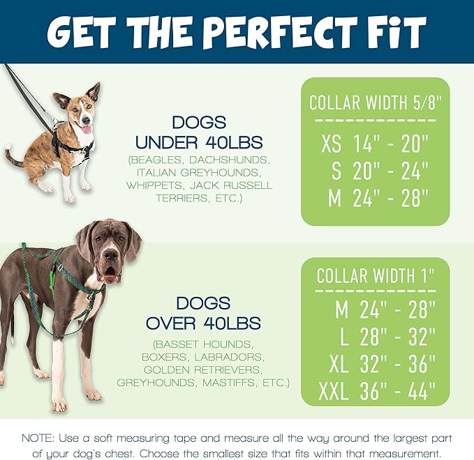 2 Hounds Design Freedom No Pull Dog Harness, Adjustable Harness, Easy Walking & Comfortable Control, Fits Small, Medium & Large Dogs, Solid Colors, Made in USA, 1" MD, Turquoise