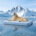 Cooling Dog Bed for Large Dogs, Washable Memory Foam Dog Beds for Crate with Joint Relief, Waterproof Liner and Removable Cover (47’’x 29’’)