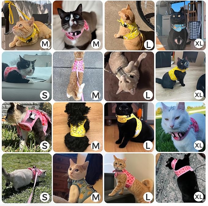 BINGPET Cat Harness and Leash Set Escape Proof, Fashionable Adjustable Mesh Harness for Walking, Soft Cute Breathable Easy Control Cat Vest for Kitten Puppy Small Medium Large Cats