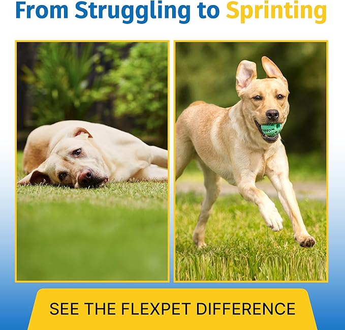 Hip & Joint Supplement for Dogs & Cats with Cetyl Myristoleate, Glucosamine, Collagen, MSM - Advanced Joint Support for Mobility, Senior Pets, Small & Large Breeds - 60 Tablets (Pork Liver)