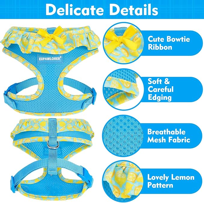 EXPAWLORER Cute Dog Harness Collar Leash Set - Blue Girl Dog Harness Checkered Step-in Design, Adjustable No-Choke Lightweight Mesh Vest for Cats Puppy Small Dogs, Lemon XS