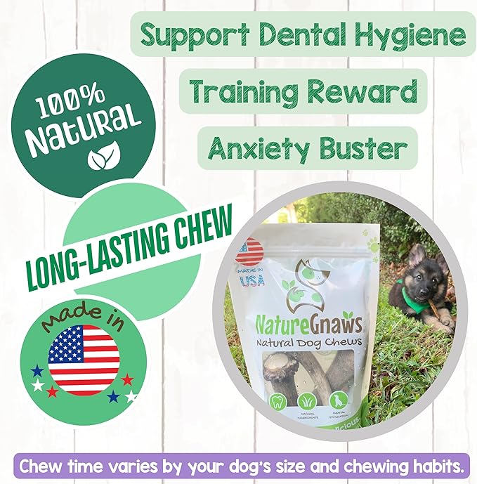Nature Gnaws USA Elk Antlers for Dogs 5-8" (1 Count) - Long Lasting for Aggressive Chewers and Large Breeds - Natural Dog Chew Bones