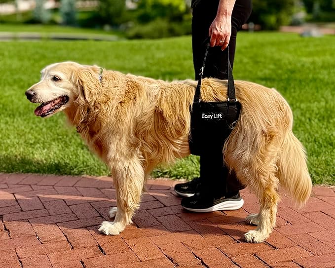 Easy Lift Dog Support Sling, Rear Hind Leg Harness for Injured & Senior Dogs, or Surgery Recovery & Rehabilitation, Padded for Comfort, Ergonomic Design, Machine Wash & Dry (Large/Extra Large)