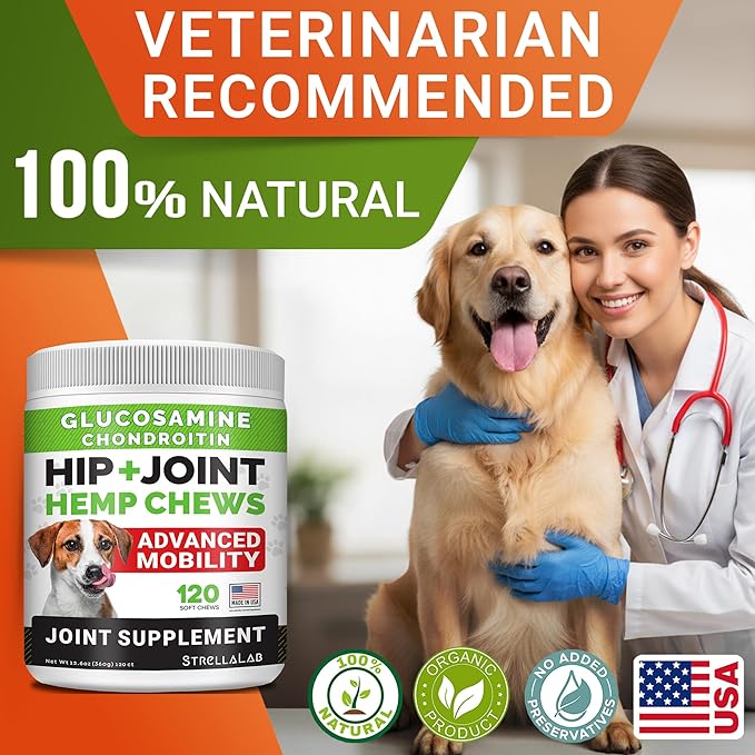 Large Breed Glucosamine Hemp Dog Joint Supplement - Hemp Chews for Dogs Hip Joint Pain Relief - Omega 3, Chondroitin, MSM - Advanced Mobility Hemp Oil Treats for Large Dogs - Made in USA - 360 Ct
