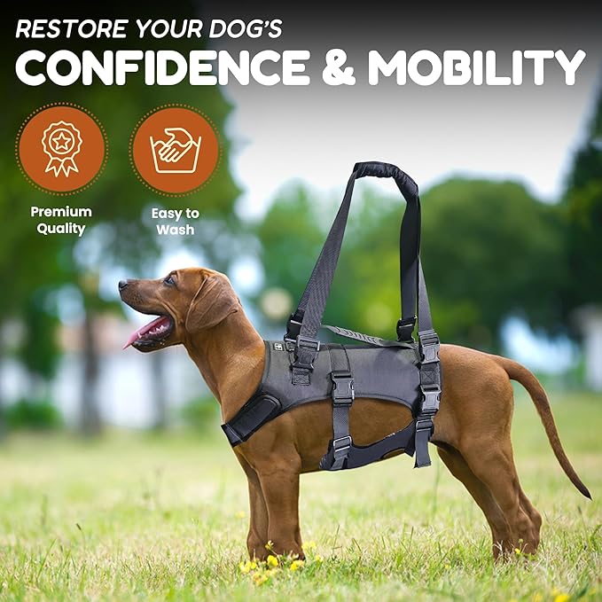 Doggie Stylz Dog Lift Harness for Large Dogs Full Body Support Sling Dog Carrier has Adjustable Handles Recovery Vest for Senior Dogs, Arthritis Joint Injuries, Mobility Aid Back Leg Support (Medium)