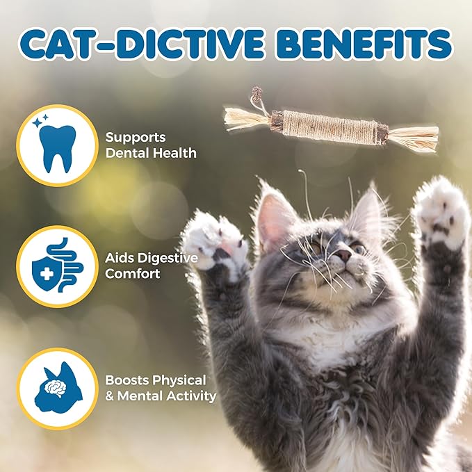SunGrow Silvervine Sticks with Gall Fruit for Cats, Delicious Pet Snack for Kittens, Rabbits, Dogs, Oral Care Companion, Teething Chews, Chewing Treats with Bell, 7.7” (h) x 0.8 “(w), 5 Pieces