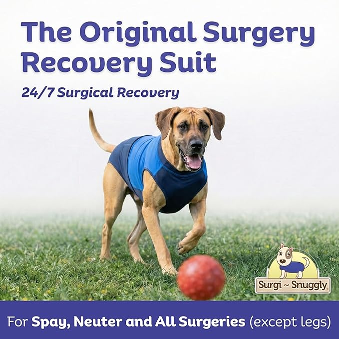 Surgi Snuggly Dog Surgery Recovery Suit - Dog Onesie for Post Surgery Recovery, Female Spay & Male Neuter - Surgical Suit for Dogs, E-Collar Cone Alternative, Double Blue - 2X-Large - 31" - 35" (EC)