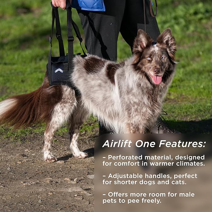Airlift One Back end Support Lift Harness, Soft Padded Leg Holes with Adjustable Handles to Lift into The car, up Stairs, Out to Bathroom by Walkabout Harnesses (Medium 18"-24", Black)