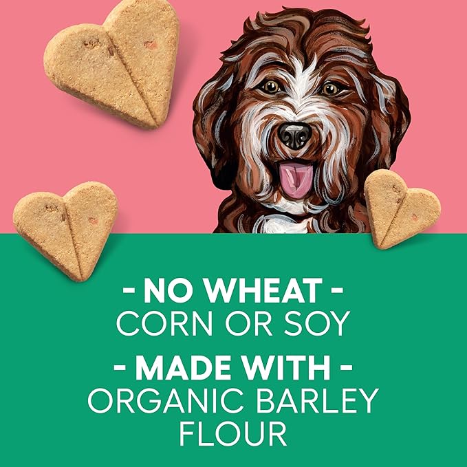 Newman's Own Bacon Flavor Dog Biscuits, 10 oz Bag (Pack of 6) — Oven Baked Crunchy Training Treats, Organic Ingredients, No Wheat Corn or Soy, Premium Quality Wholesome Dog Cookies