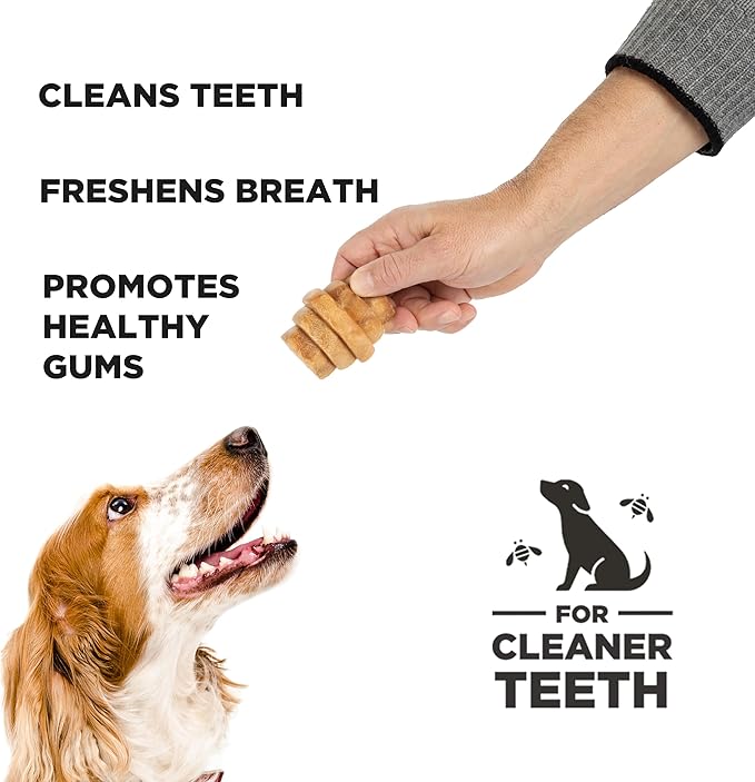 PROJECT HIVE ·PET COMPANY· Dental Chew Treats for Dogs, 9 oz, Large (M/L) – Peanut Flavor, Beehive-Shaped Dental Treats, Cleans Teeth & Freshens Breath, Vegetarian Recipe with Honey, No Grain or Soy