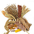 Natural Hamster Flower & Herb Habitat Deocr, Hamster Sprays Herbs Bedding Mate, Hamsters Cage Enrichment Decoration Accessories for Gerbil Dwarf Syrian Hamsters Mouse Guinea Pig Mice or Small Animals
