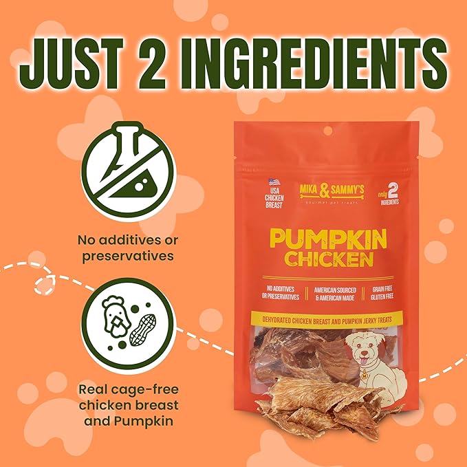 Gourmet Jerky Dog Treats -Made in USA only, Cage-Free, No Additives (Pumpkin Chicken 12 oz)