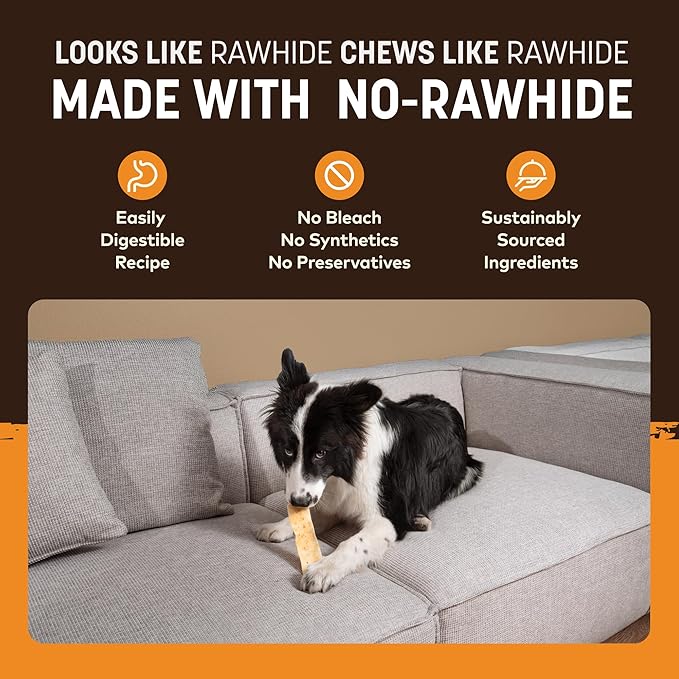 Earth Animal No Hide Strips - Natural Rawhide Free Dog Chew Strips, Chicken - 16 Count