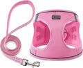 BOOMIBOO Dog Harness with Leash Set, No Pull Adjustable Reflective Step-in Puppy Pet Vest Harnesses for Small Medium Large Dogs and Cats,Pink L