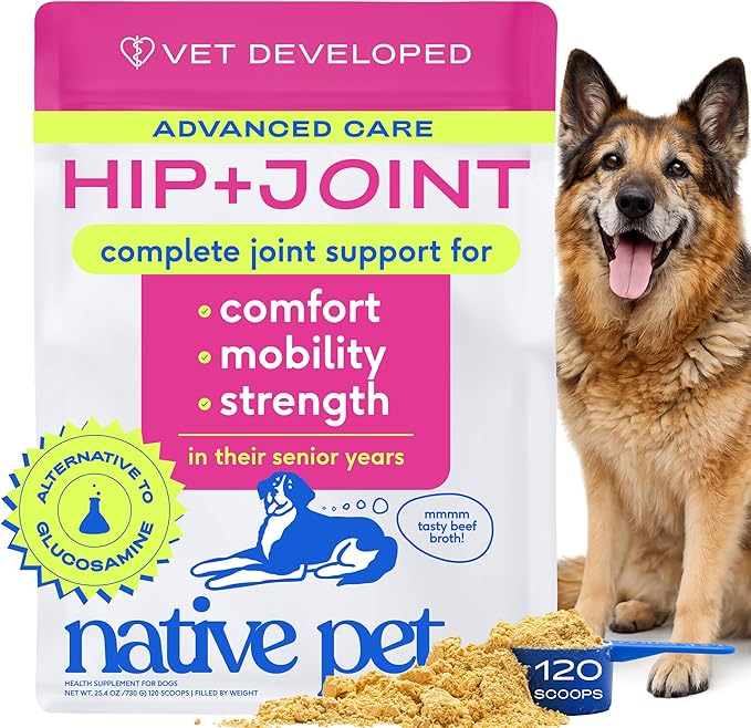 Native Pet Hip & Joint Advanced Care Dog Joint Supplement Powder for Mobility & Movement Support, Joint Supplement for Dogs with HMB, UC-II Collagen, Green Lipped Mussel & Hyaluronic Acid-120 Scoops