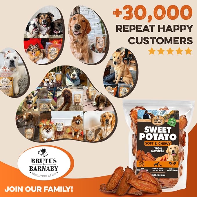 Sweet Potato Slices For Dogs - Soft & Chewy - Single Ingredient Dog Treats, Healthy 100% Natural Sweet Potato Dog Treats With No Added Preservatives - Softer & Great For Puppies Or Senior Dogs (14oz)