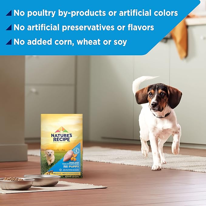 Nature's Recipe Grain Free Puppy Dry Dog Food, Chicken, Sweet Potato & Pumpkin Recipe, 12 lb. Bag