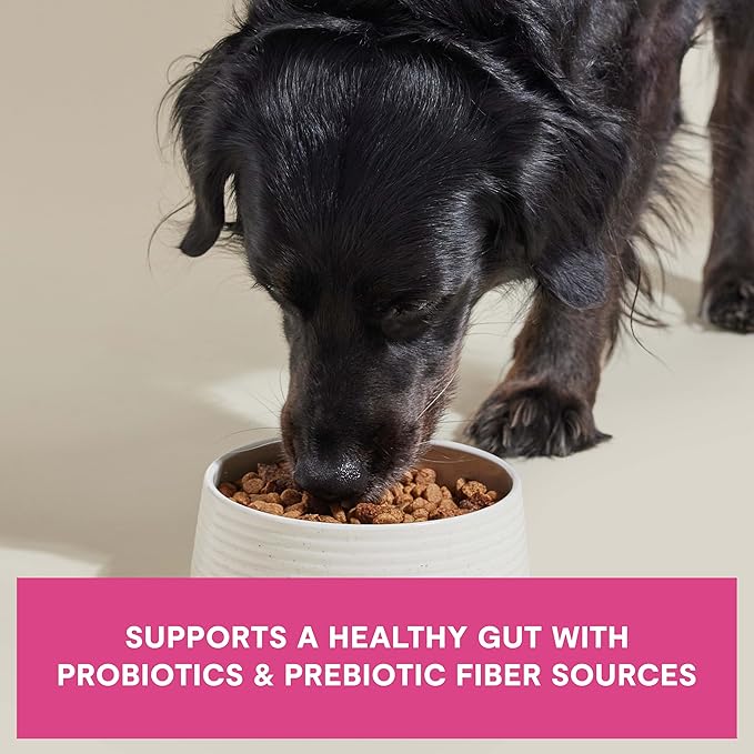 Open Farm, Epic Blend High Protein Dry Dog Food, Probiotic Coated & Bone Broth Infused Kibble with Air Dried Meat & Organs, Minimally Processed & Nutrient Dense, Salmon & Superfood Recipe, 18lb Bag