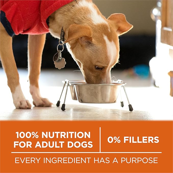 Purina ONE Plus Healthy Weight High-Protein Dog Food Dry Formula - 16.5 lb. Bag