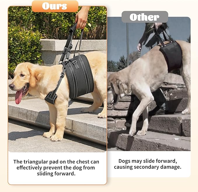 NOYAL Dog Lift Harness Sling - Adjustable Pet Carrier for Senior Dogs with Arthritis Joint Injuries, Emergency Support Rehabilitation Aid for Nail Trimming, Stairs Assistance
