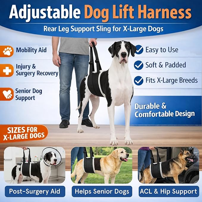 Adjustable Dog Lift Harness – Rear Leg Support Sling for Extra-Large Dogs | Mobility Aid for Senior, Injured & Post-Surgery Pets, ACL Surgery Dogs | Soft, Durable & Comfortable
