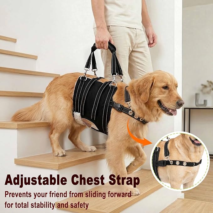 CWV Adjustable Male Dog Lift Harness for Large Dogs, Soft and Portable Dog Dling for Large Dogs Hind Leg Support,Help em up Harness for Senior, Injured, Disabled and After Surgery Dogs, Large