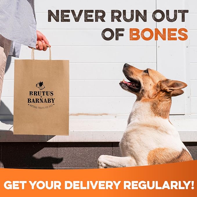 BRUTUS & BARNABY Kneecap Bones for Dogs – 100% USA-Sourced Beef – Long-Lasting Natural Chews for Aggressive Chewers – High Protein, Dental Health Support, (10-pk) – Made in The USA