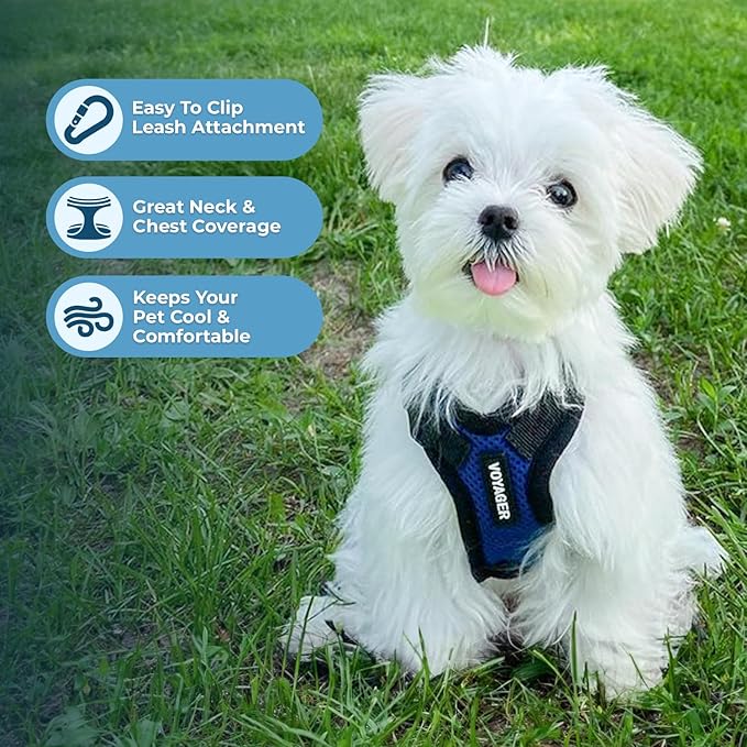 Voyager Step-in Pet Harness - All Weather Mesh, Adjustable Step in Harness for Cats and Dogs by Best Pet Supplies - Royal Blue/Black Trim, L