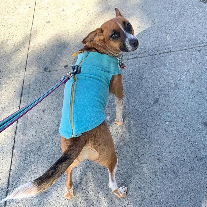 Gooby - Zip Up Fleece Vest, Fleece Jacket Sweater with Zipper Closure and Leash Ring, Turquoise, Medium