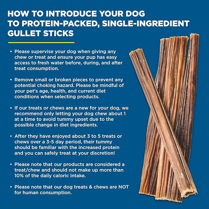 Best Bully Sticks 6 Inch Gullet Sticks - 25 Count (Pack of 1) - Natural, Esophagus Snack, Rawhide Alternative