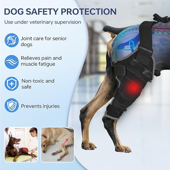 Dog Knee Brace for Back Leg - Adjustable Breathable Canine Leg Wrap with Hot & Cold Gel Packs - Supports Large & Medium Dogs with Arthritis, Hip Dysplasia, ACL Injuries, Right hind Leg (L)