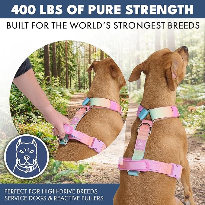Spark Paws No Pull Dog Harness with Handle for Large Dogs, Heavy Duty Dog Harness for Big Strong Breeds, Adjustable, Y Shaped Padded Halter Design with Front Clip- Pastel Icing - M