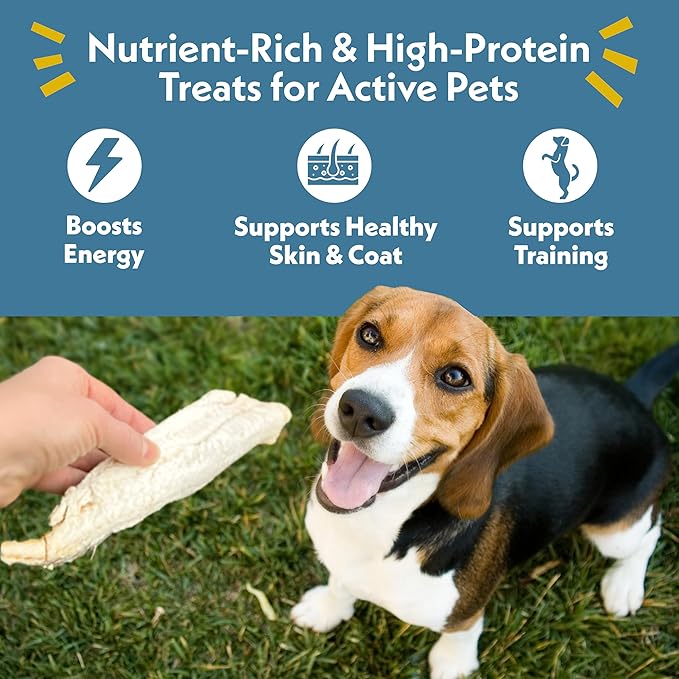 Fresh Is Best Freeze Dried Dog Treats – Raw Freeze Dried Fish for Cats & Canines in Resealable Zipper Bag – High-Protein One Ingredient Dog Treats – Pacific Whiting Fillets – Made in The USA