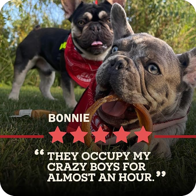 Redbarn Pet Products All Natural 8"-12" Bully Sticks for Medium/Large Dogs - Healthy Long Lasting Chews Variety Party Pack - 100% Beef Single Ingredient Low Odor Rawhide Free - 1lb