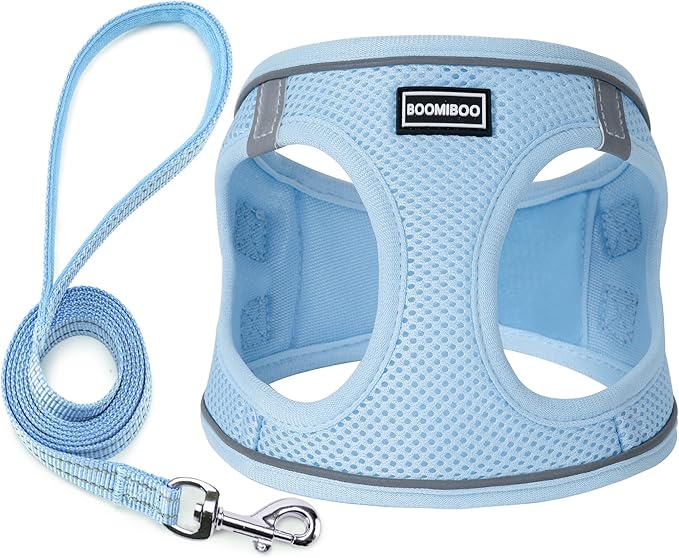 Dog Harness with Leash Set, No Pull Adjustable Reflective Step-in Puppy Pet Vest Harnesses for Small Medium Large Dogs and Cats,Sky Blue S