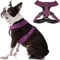Gooby Comfort X Harness - Dual Snap, Purple, Medium - No Pull Small Dog Harness with Rotational Buckles and Patented Choke-Free X Frame