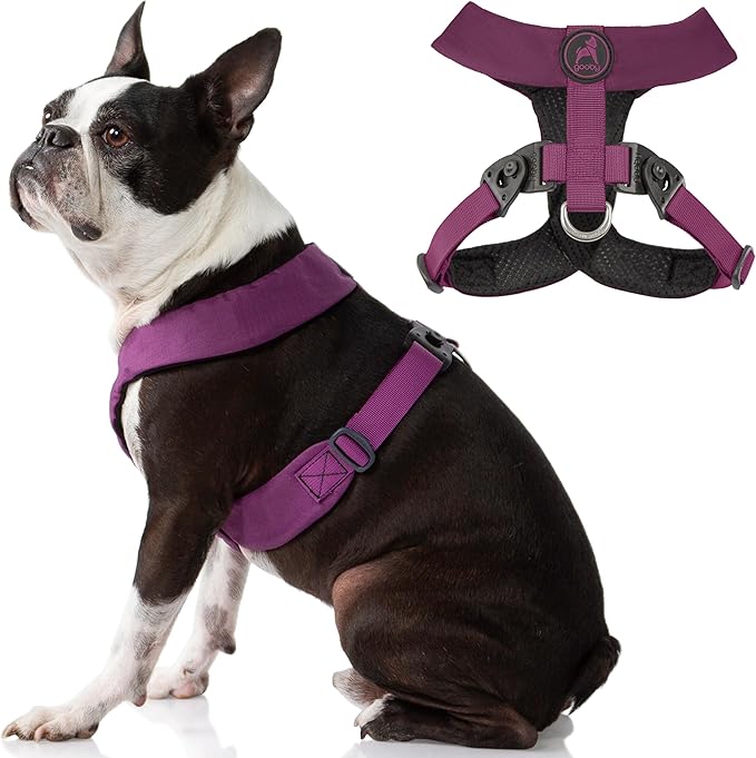 Gooby Comfort X Harness - Dual Snap, Purple, Large - No Pull Small Dog Harness with Rotational Buckles and Patented Choke-Free X Frame