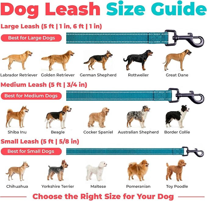 Best Pet Supplies Voyager Reflective Dog Leash or Collar with Neoprene Handle, for Small, Medium, and Large Breed Puppies, Cute and Heavy Duty for Walking, Running and Training - Turquoise (Leash), M