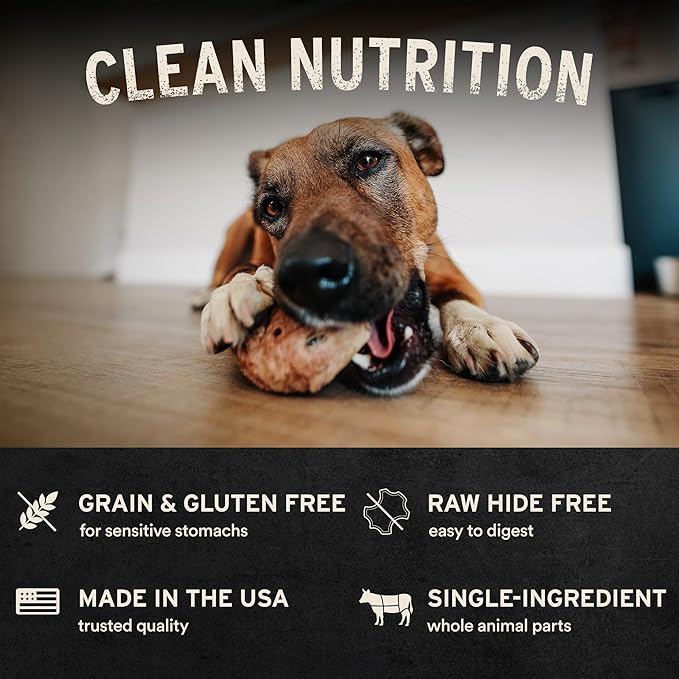 Vital Essentials Freeze-Dried Raw Moo Stick Dog Treat & Natural Chew, 1-Pack | Single Ingredient Dog Treat for Medium Chewers | Made in USA