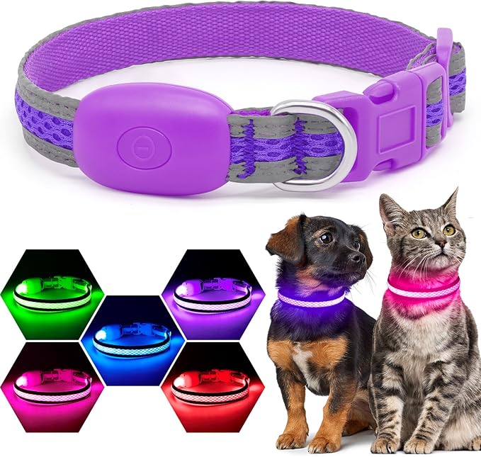 Flashseen LED Dog Collar, Light Up Dog Collar USB Rechargeable, Brightest Dog Lights for Night Walking, Adjustable Dog Collar Light for Dog Safety (Purple, X-Small)