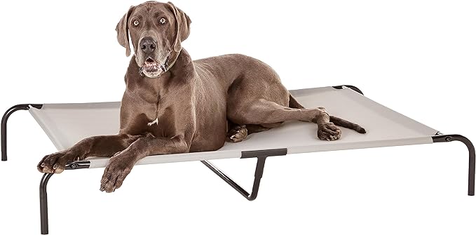 Amazon Basics Cooling Elevated Breathable Pet Bed For Dog, X-Large (60.1 x 37.1 x 8.9 Inches), 1 count, Grey