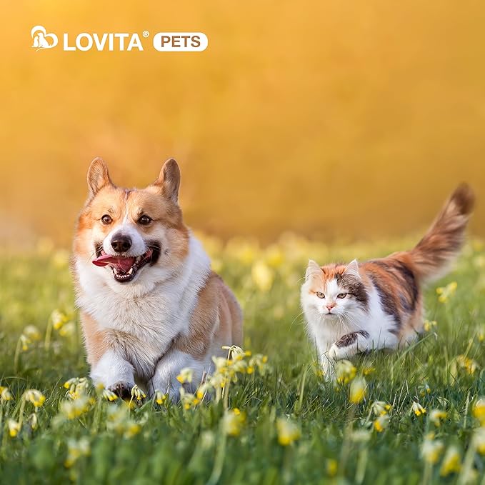 LOVITA Hip + Joint Supplement for Pets - Supports Mobility & Joint Health for Dogs & Cats - 60 Capsules, Chicken Flavor