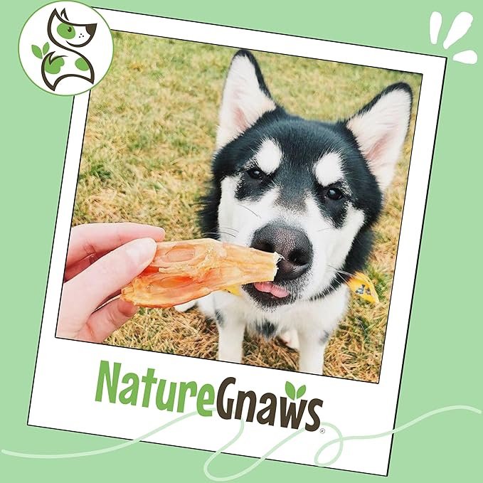 Nature Gnaws USA Beef Tendons for Dogs (8oz) - Mixed Thickness - Long Lasting for Aggressive Chewers - Premium Natural Beef Dog Chew Treats - Rawhide Free