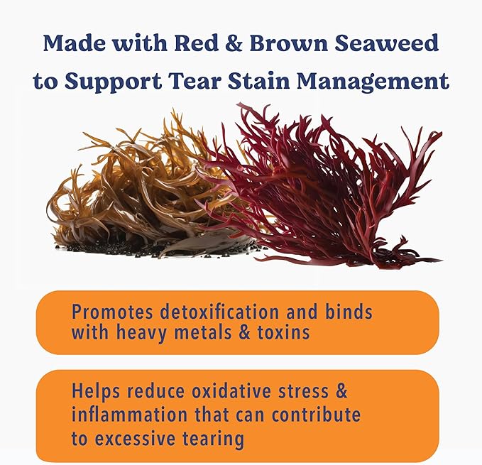 Angels’ Eyes Sea Sticks Tear Stain Friendly Daily Dog Treats with Red & Brown Seaweed Tear Stain, Gut Health, & Metabolic Support Grain-Free, Gluten-Free, Plant-Based North Sea Medium 12ct