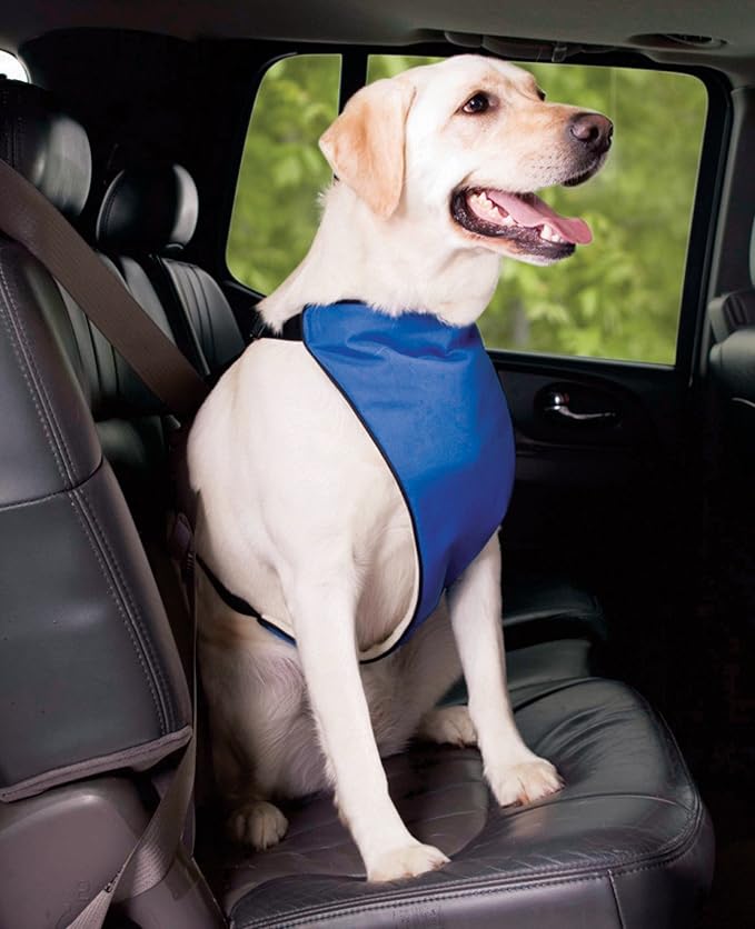 Guardian Gear Nylon Lift & Lead 4-in-1 Dog Harness, XXX-Large, Blue